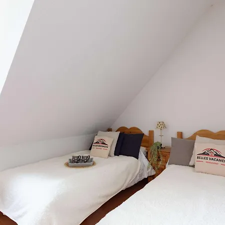 Maison Cosy Pour 4 Pers, Animaux Admis, Parking, Pres Centre Saint-lary - Fr-1-296-536 Tatil Evi